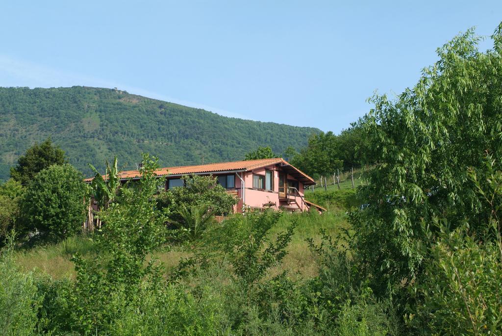 Paperkienea - Artandrelax Guest House Hondarribia Luaran gambar